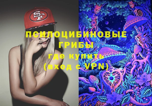 скорость Богданович
