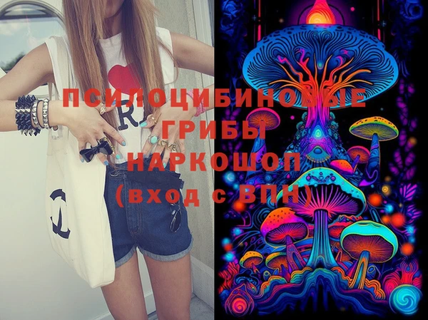 скорость Богданович
