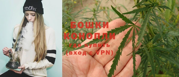 ПСИЛОЦИБИНОВЫЕ ГРИБЫ Струнино